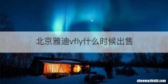 北京雅迪vfly什么时候出售