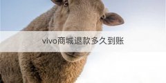 vivo商城退款多久到账