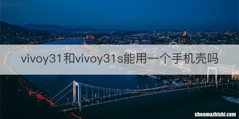 vivoy31和vivoy31s能用一个手机壳吗