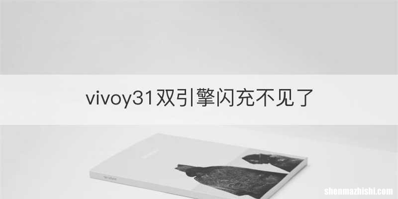 vivoy31双引擎闪充不见了