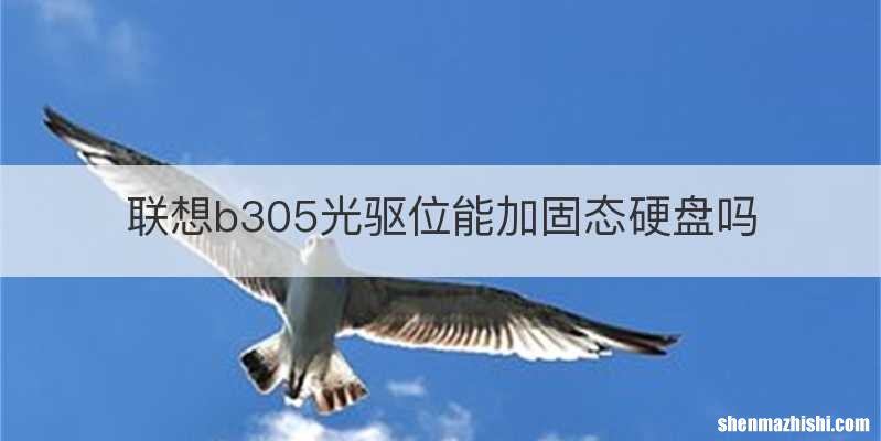 联想b305光驱位能加固态硬盘吗