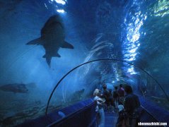 世界上最大的10个水族馆，排第一的有10万只海洋生物