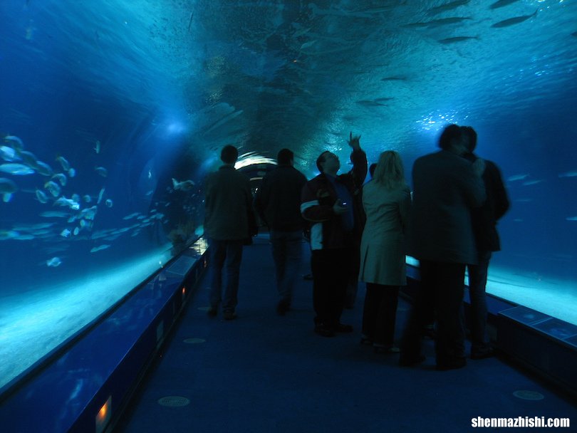 世界上最大的10个水族馆，排第一的有10万只海洋生物