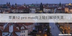 苹果12 pro max向上轻扫解锁失灵