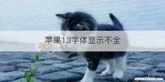 苹果13字体显示不全