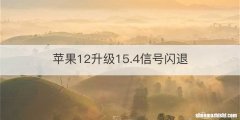 苹果12升级15.4信号闪退