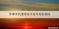 苹果手机使用双卡信号有影响吗