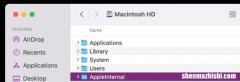 如何从 Mac 中删除 /AppleInternal