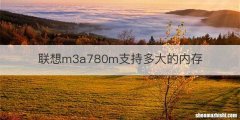 联想m3a780m支持多大的内存