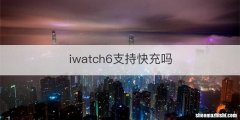 iwatch6支持快充吗