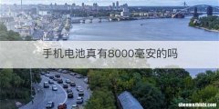 手机电池真有8000毫安的吗