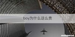 boy为什么这么贵