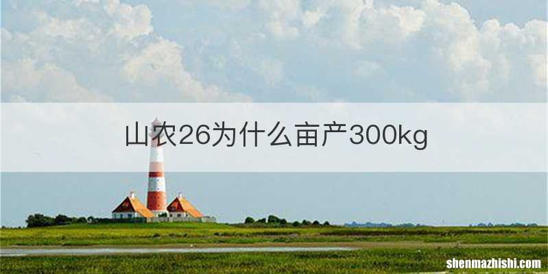 山农26为什么亩产300kg