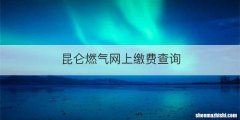 昆仑燃气网上缴费查询
