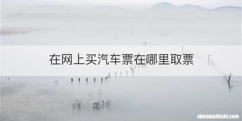 在网上买汽车票在哪里取票