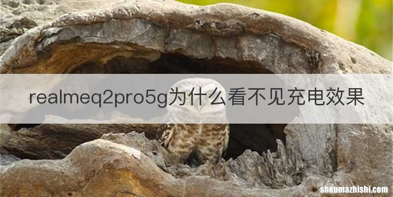 realmeq2pro5g为什么看不见充电效果