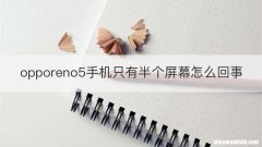 opporeno5手机只有半个屏幕怎么回事