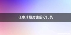 任意球最厉害的守门员