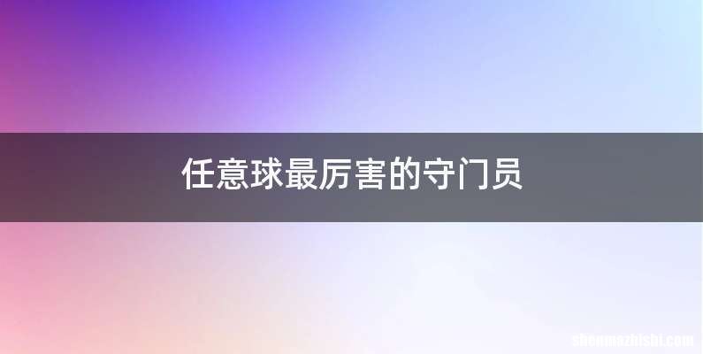 任意球最厉害的守门员