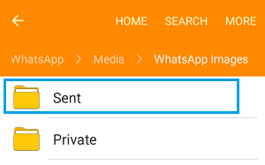 如何修复WhatsApp照片不显示在图库中