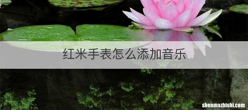 红米手表怎么添加音乐