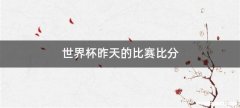 世界杯昨天的比赛比分