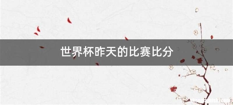 世界杯昨天的比赛比分