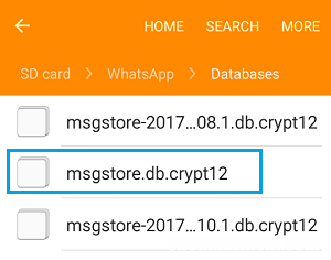 如何在Android手机上将WhatsApp备份到SD卡
