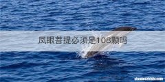 凤眼菩提必须是108颗吗