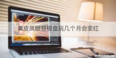 黄皮凤眼菩提盘玩几个月会变红