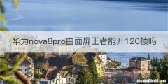 华为nova8pro曲面屏王者能开120帧吗