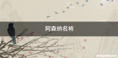 阿森纳名将