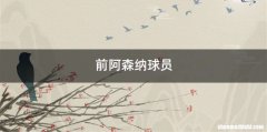 前阿森纳球员