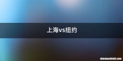 上海vs纽约