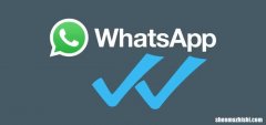 WhatsApp：解释了一个和两个复选标记之间的区别