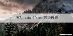 华为mate 40 pro高级设置