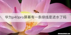 华为p40pro屏幕有一条绿线是进水了吗