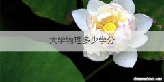 大学物理多少学分