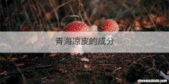 青海凉皮的成分