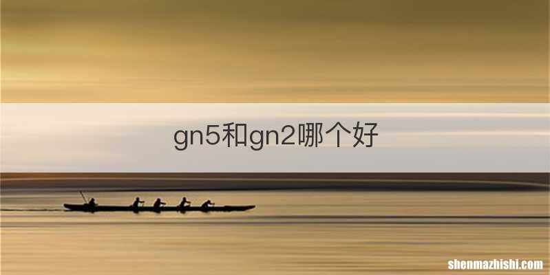 gn5和gn2哪个好