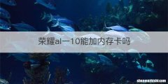 荣耀al一10能加内存卡吗