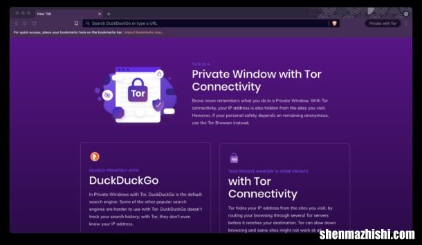 浏览器隐藏IP地址私隐设置 如何在Brave中使用Tor的私密模式