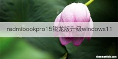 redmibookpro15锐龙版升级windows11