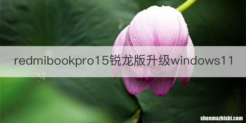 redmibookpro15锐龙版升级windows11