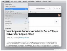 怎么阻止Safari在Mac上自动播放视频