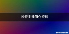 沙特主帅简介资料