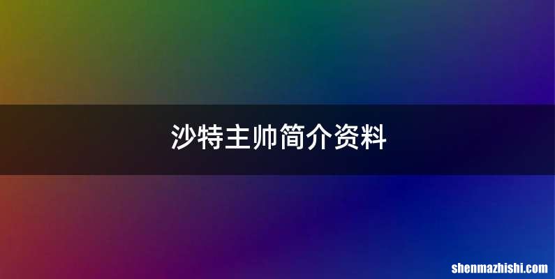 沙特主帅简介资料