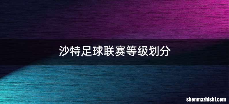 沙特足球联赛等级划分