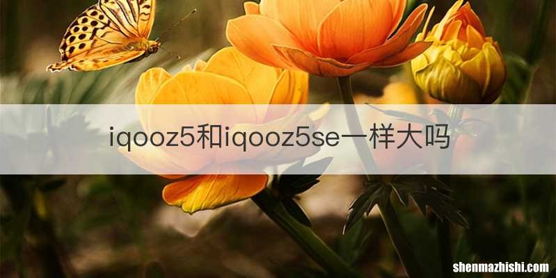 iqooz5和iqooz5se一样大吗