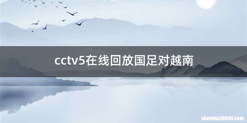 cctv5在线回放国足对越南